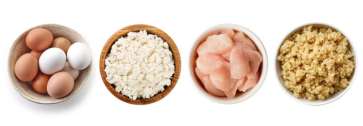 Healthy food for deals dogs to gain weight